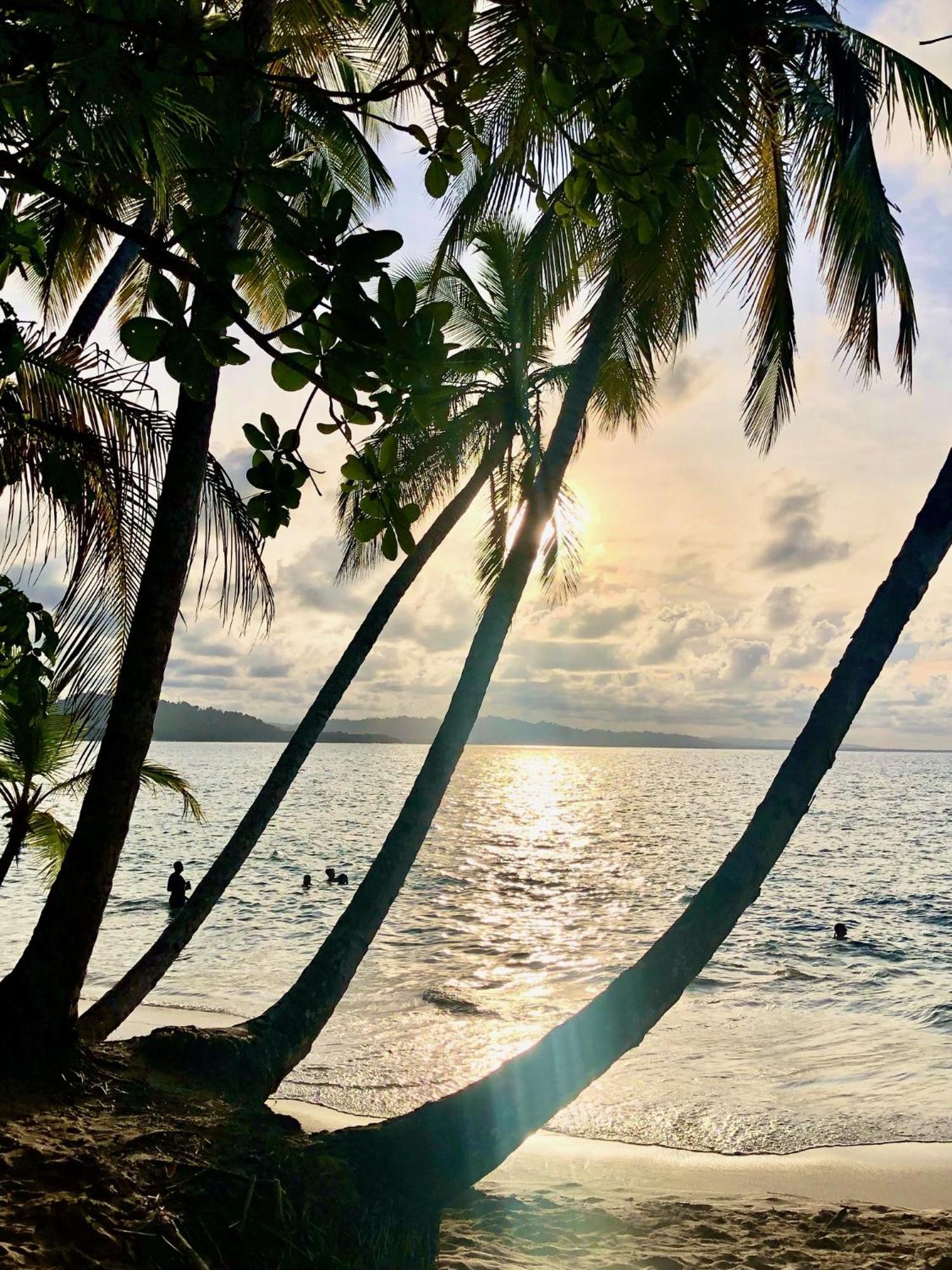 Cabinas Ole Caribe Puerto Viejo de Talamanca Ngoại thất bức ảnh