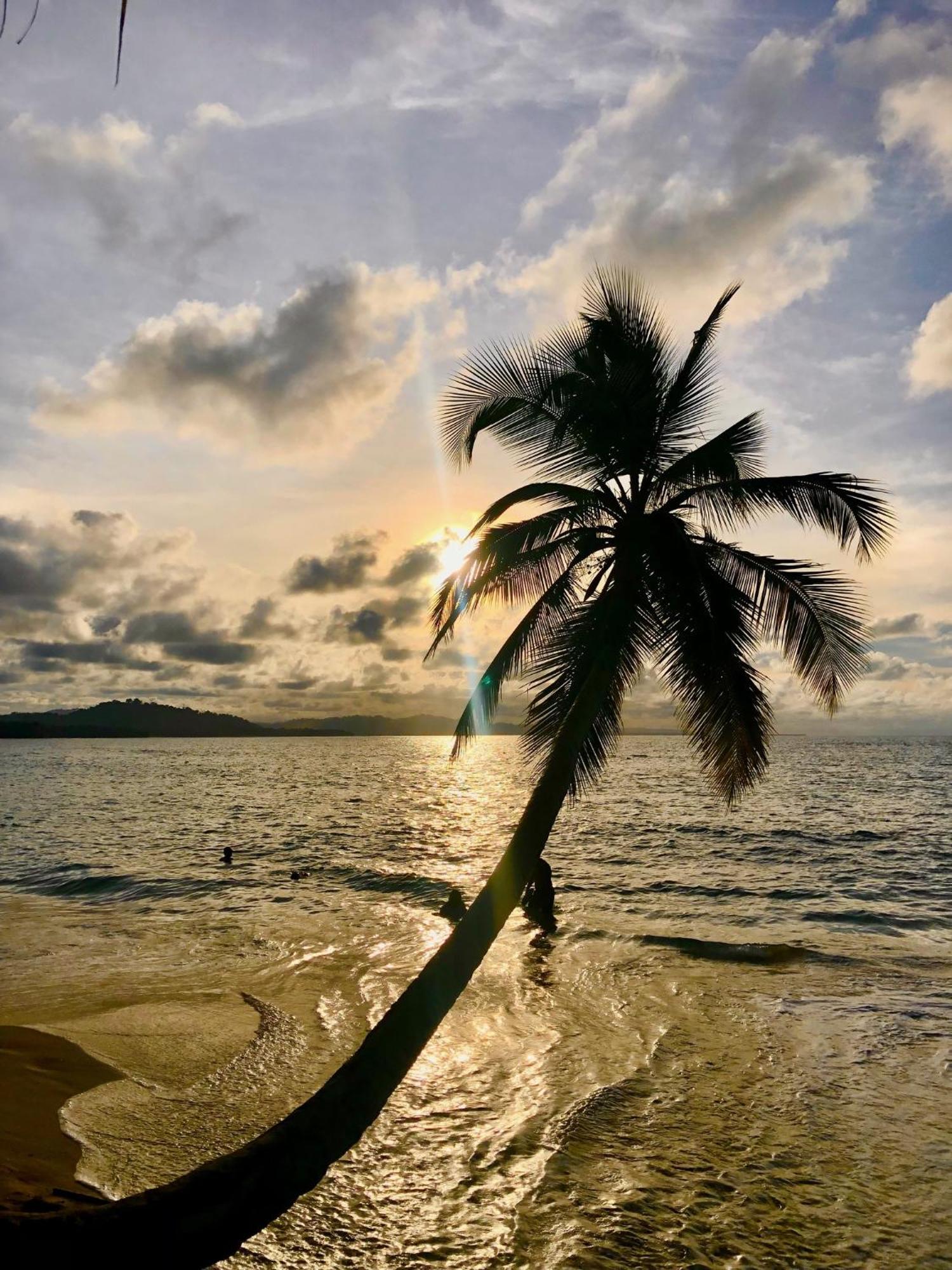 Cabinas Ole Caribe Puerto Viejo de Talamanca Ngoại thất bức ảnh