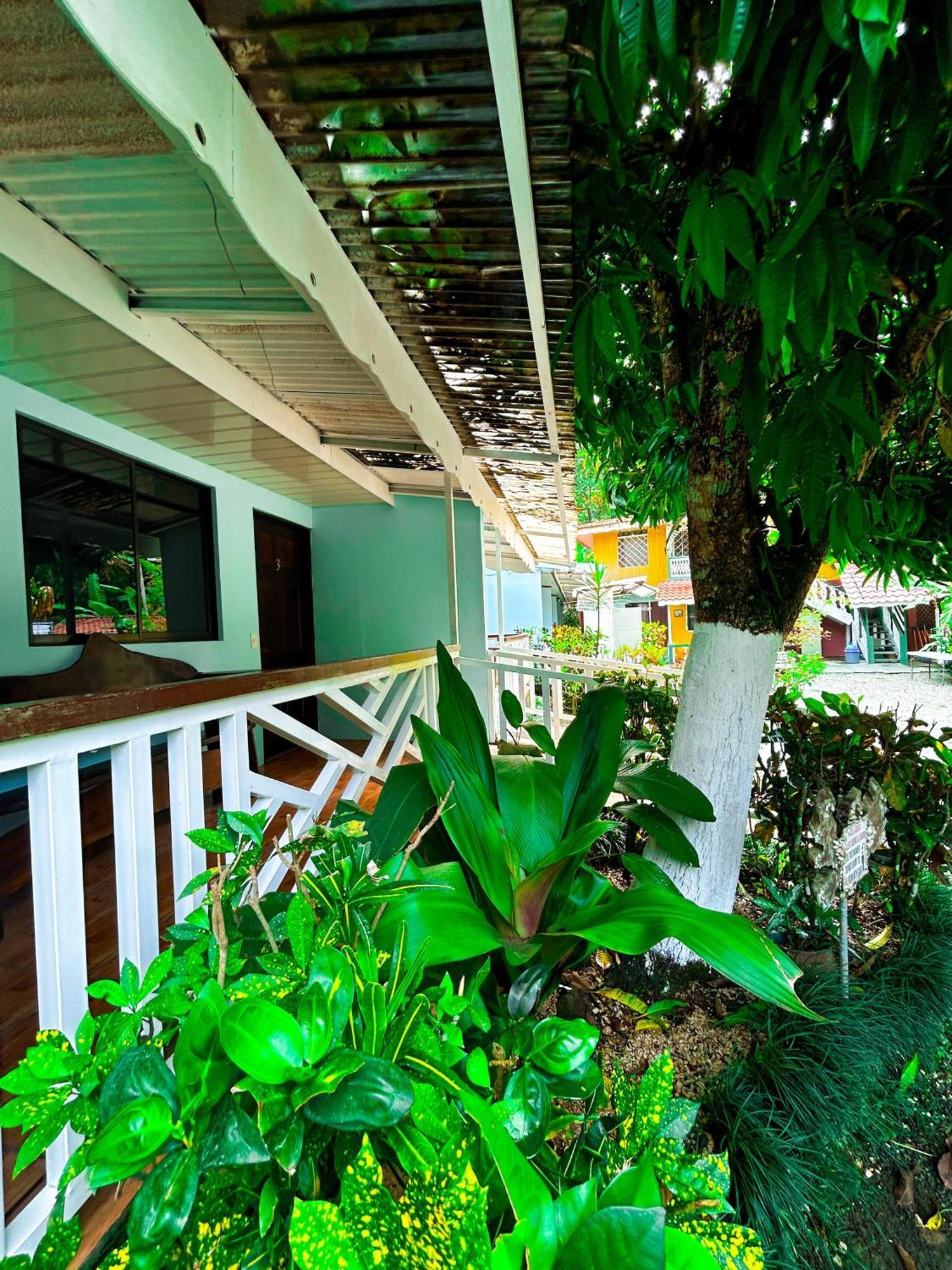 Cabinas Ole Caribe Puerto Viejo de Talamanca Ngoại thất bức ảnh
